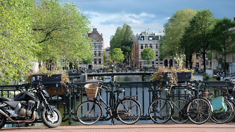 Come Meet Memgraph's DevRel Team in Amsterdam