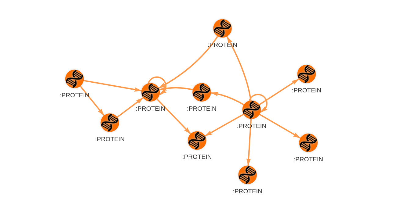 protein-network-1